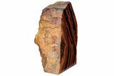 Free-Standing Polished Tiger Iron Stromatolite - Ga #221781-2